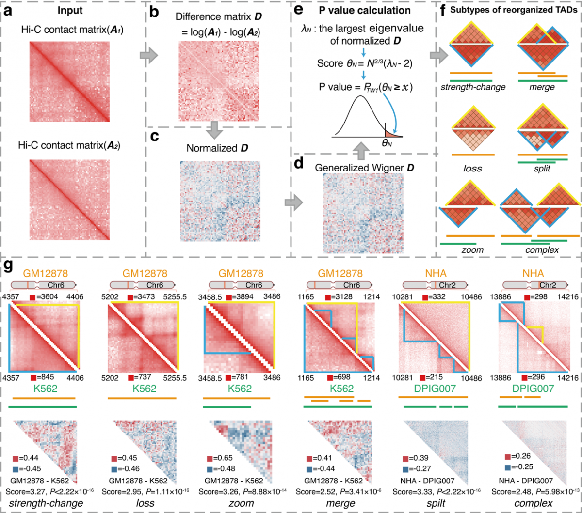 image-20240223193748-1