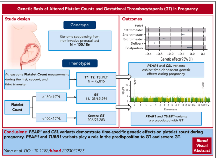 image-20240417190002-1