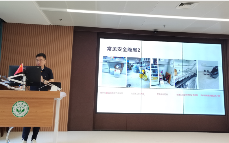 image-20240606113941-8