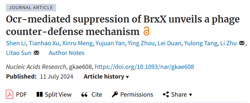 image-20240713170921-3