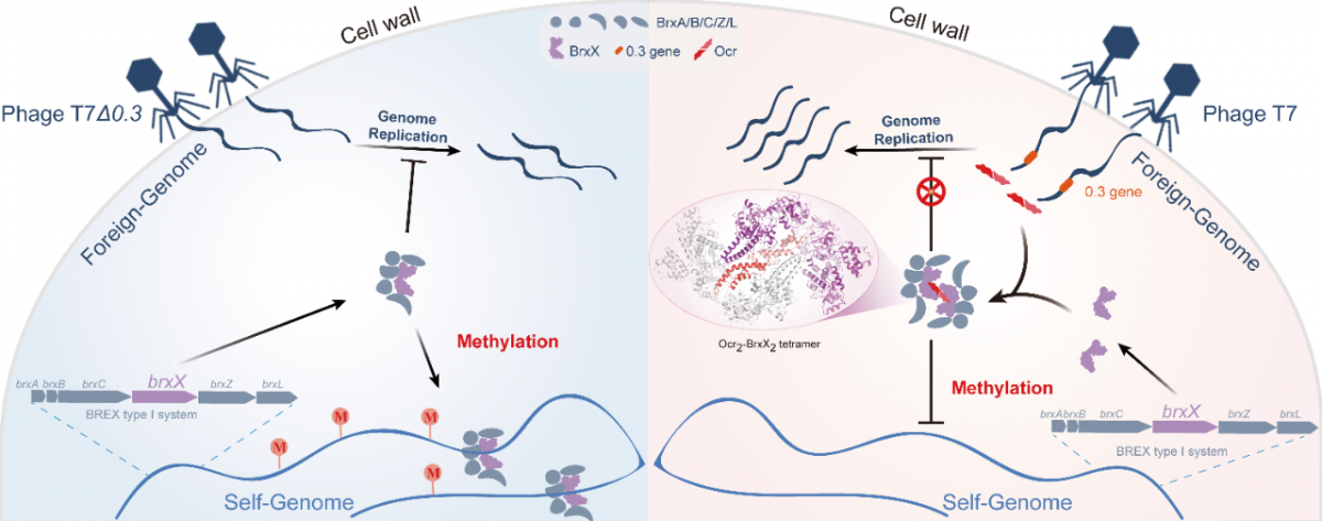 image-20240713171021-5