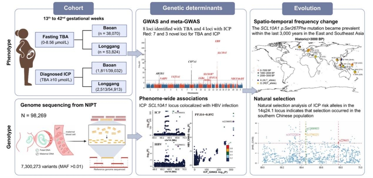 image-20250118165252-1