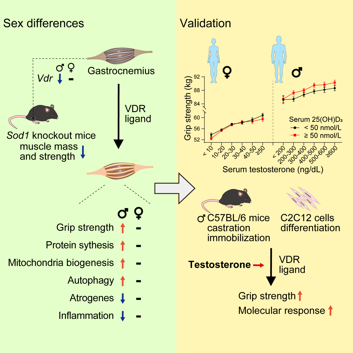 image-20250219162010-1