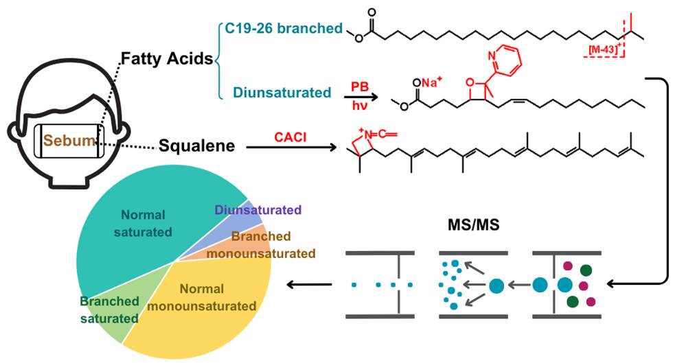 PUFA (3.25 x 1.75 英寸) (6)