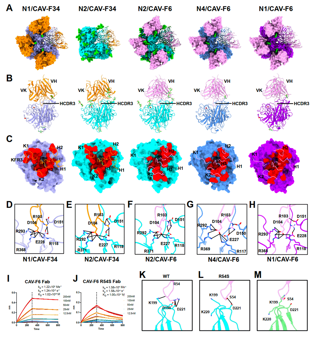 图片包含 图示

AI 生成的内容可能不正确。